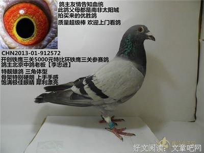 最全的卡洛斯·卡斯塔尼达名言名句