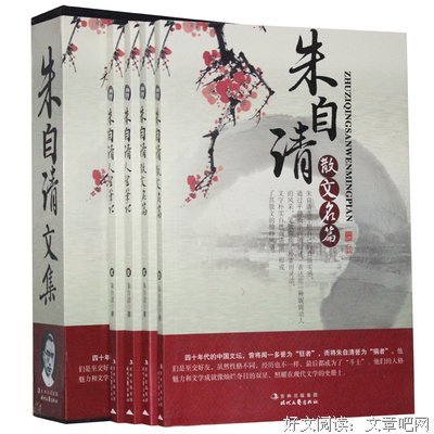 描写张晓风的语句摘抄
