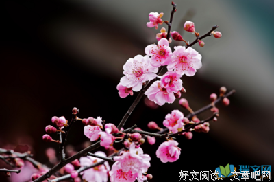 15条关于庾信的经典语句