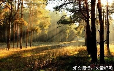 关于梦河的唯美语录