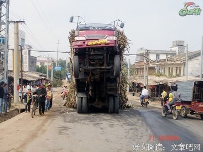 《杀手一号》经典影评10篇