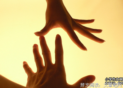 最新的《九千米情人》好段摘抄