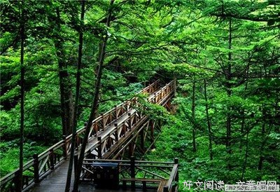 关于夏明朗的格言