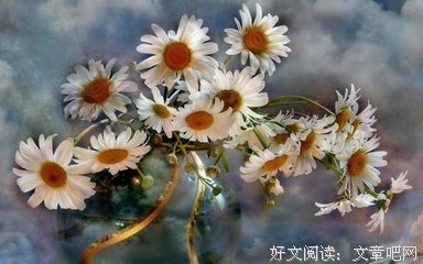 最全的《小幸运》经典的句子大全