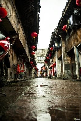 紫阳系列读后感精选10篇