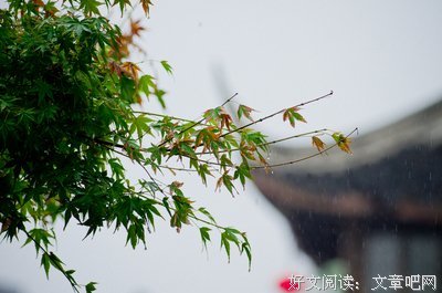 无人问津的句子