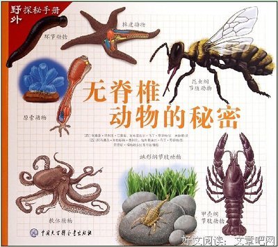 关于脊椎动物的唯美语录
