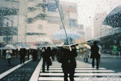 最新的《世间所有相遇都是久别重逢》经典句子