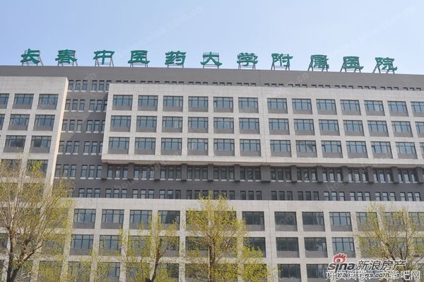 金谷的句子