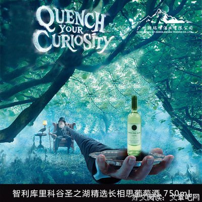 《长相思》好段摘抄