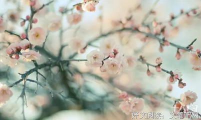 幸福是一场修行读后感精选10篇