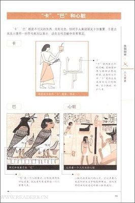 《西藏生死书：一日一课》读后感精选10篇