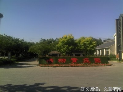 杨柳青的名言_关于杨柳青的名言