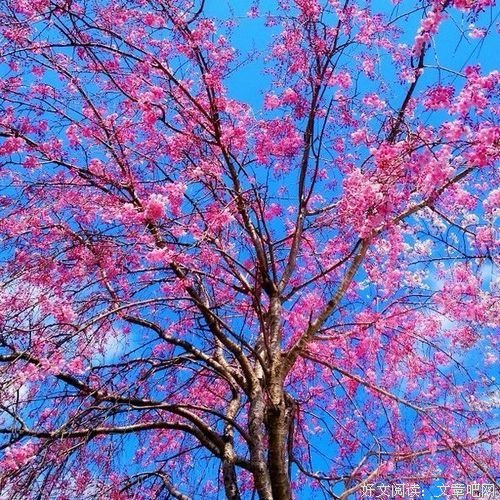 最经典的《如果巴黎不快乐》好段摘抄