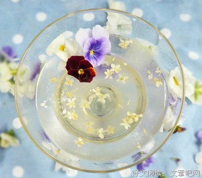 关于界·疾风号的唯美语录