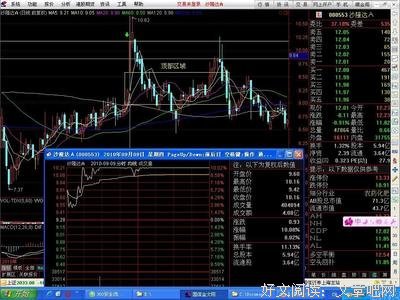《起爆》经典影评集