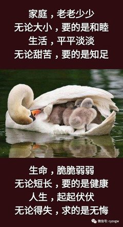 15条关于聚聚的经典语句