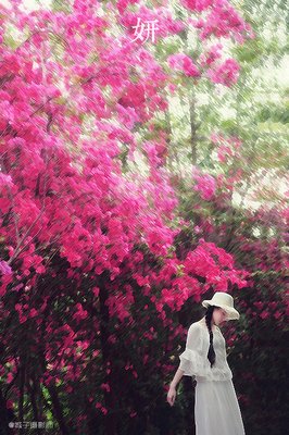 描写莞尔一的经典句子