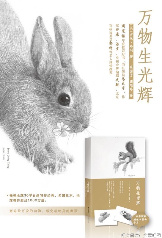 最新的吉米·哈利经典语录