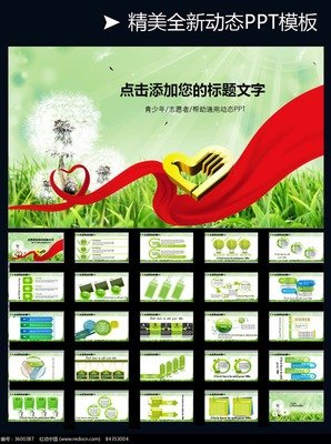 关于小柯的唯美语录