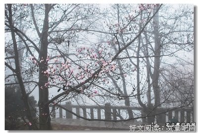 关于万语千言名言名句