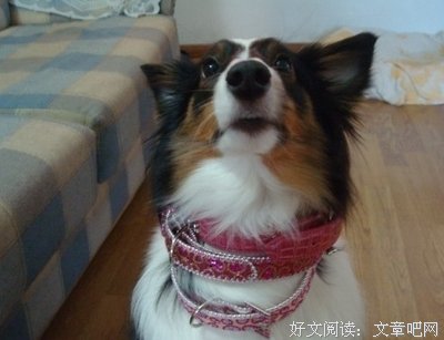 乖，姐姐就需要你这样的人啊！