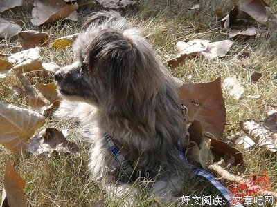16岁少女私奔之殇：天大地大何处是我家？