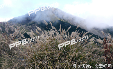你总要一个人，熬过那些苦难
