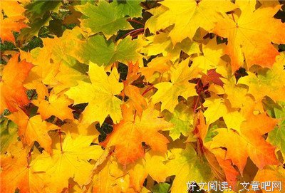 《寻找世上另一个我》的读后感10篇
