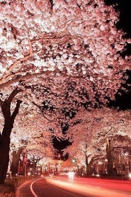 最经典的《镜花水月》经典名句大全