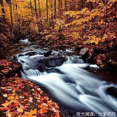 最美的报恩！当年救的一只鸟，患癌后竟成为她的“守护神”……