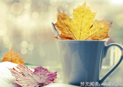 15条关于度华年的经典语句