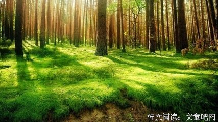 《白说》经典名句大全