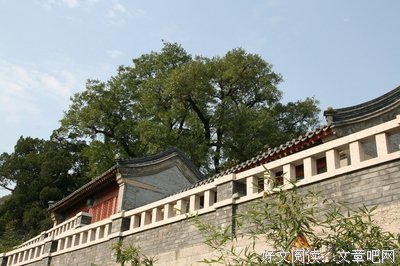 深爱一个不爱自己的人错了吗？龙泉寺方丈道出真相