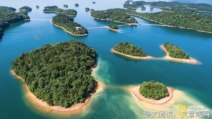 初夏 | 一叶扁舟上，时光荡悠悠