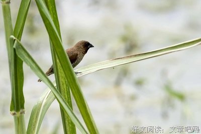 故事：恩爱PAO友分手记（三观太正的就别看了）
