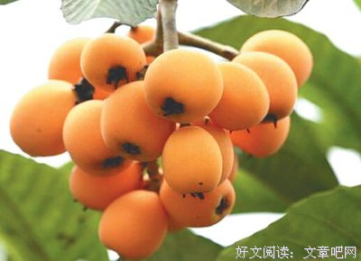 人是怎么一步步变得俗气的
