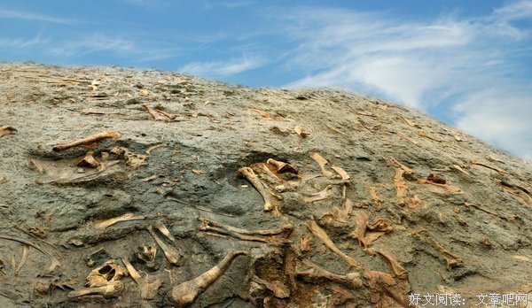 我永远站在科学、地球和你的这一边