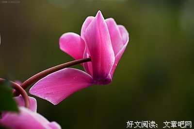 关于上曲名言名句