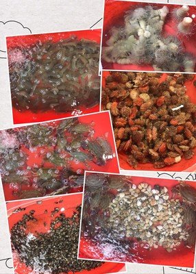 这是我最后一次，和你在这聊天
