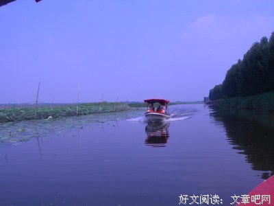 关于桑德拉的格言
