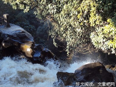 穆旦的语句摘抄_关于穆旦的语句