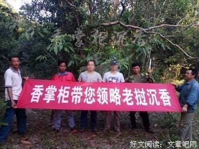 沉香养命，崖柏救命，手串真的能保护人吗？