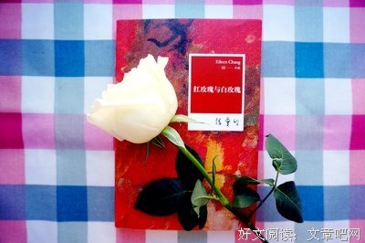 最全的《他与月光为邻》经典的句子