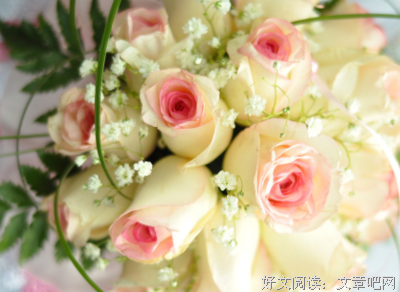 《我们仨》经典的句子