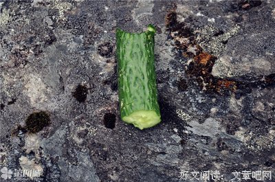 天堂地狱常在你一念之间