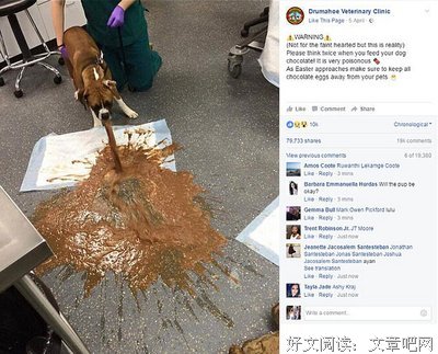 荒野丨你把你狗命给我交了
