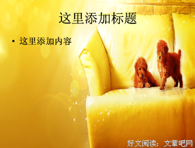 和你在一起才是全世界读后感10篇