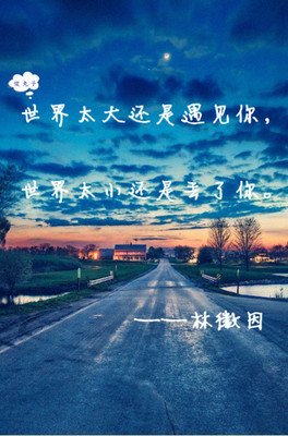 关于林徽的名言