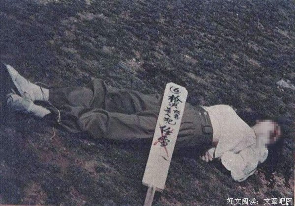 关于任雪的格言